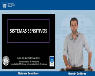 Sistemas Sensitivos