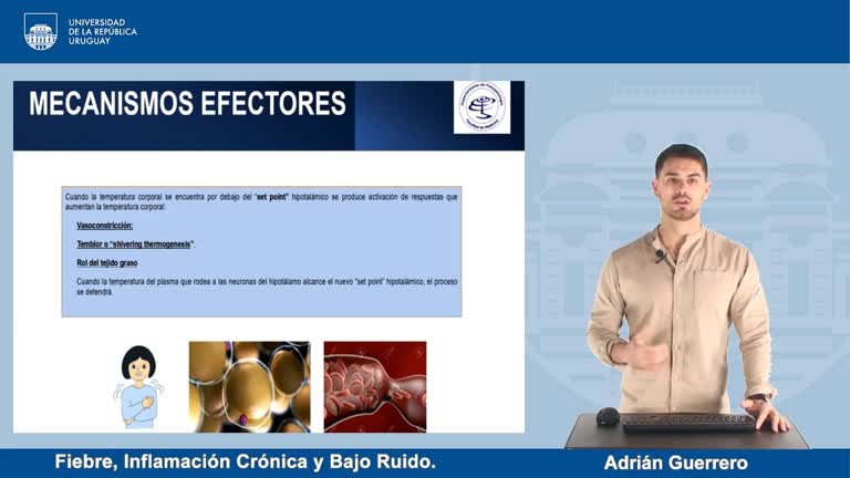 Fisiopatología de la Fiebre,  Inflamación Crónica y a Bajo Ruido.