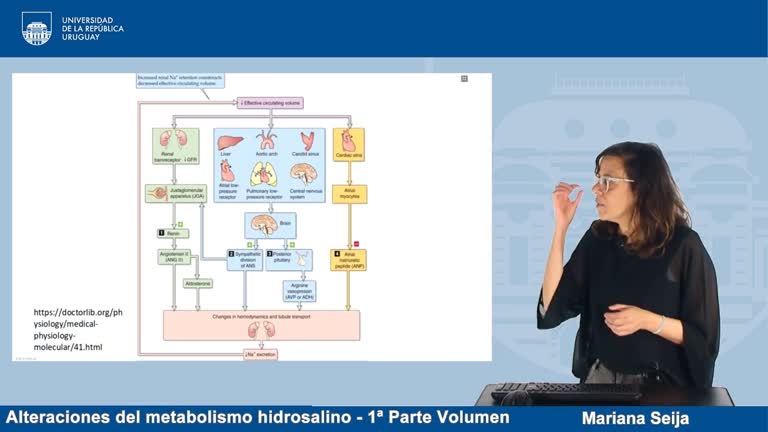 Alteraciones del metabolismo hidrosalino.   1ª Parte:  Volumen